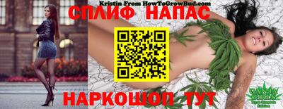 spice Рязань