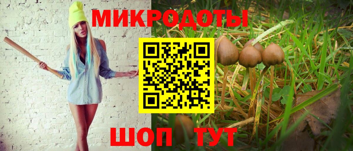 где продают наркотики  Вход с VPN  Алексин  Галлюциногенные грибы Cubensis 